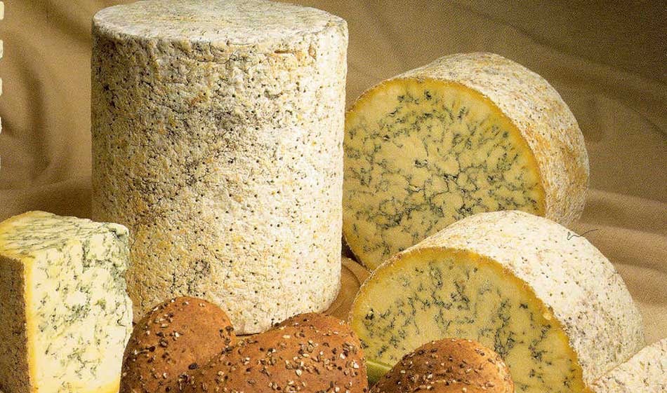 Top Five Most Expensive Cheeses in the World