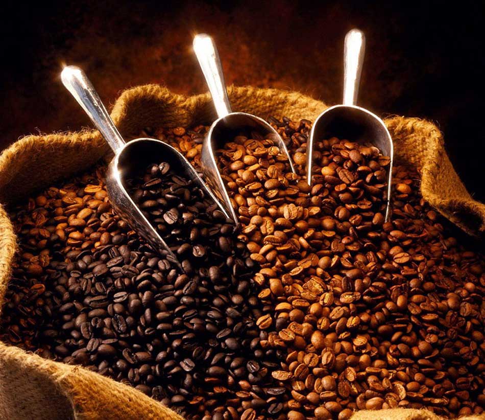 Top Five Most Expensive Coffees in the World