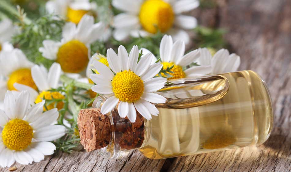 Top Five Best Essential Oils for Acne Treatment