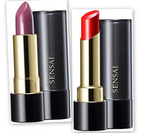 Expensive Lipsticks
