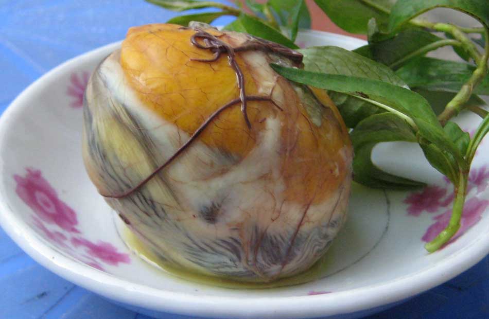 Top 5 Grossest Delicacies from all around the World