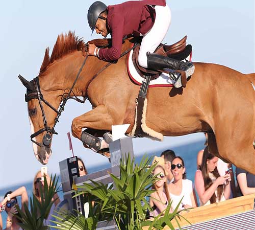 Top 10 Most Expensive Horses in the World