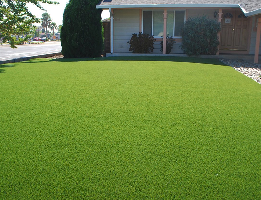 Best Kinds Of Grass For Your Yard Highly Rated