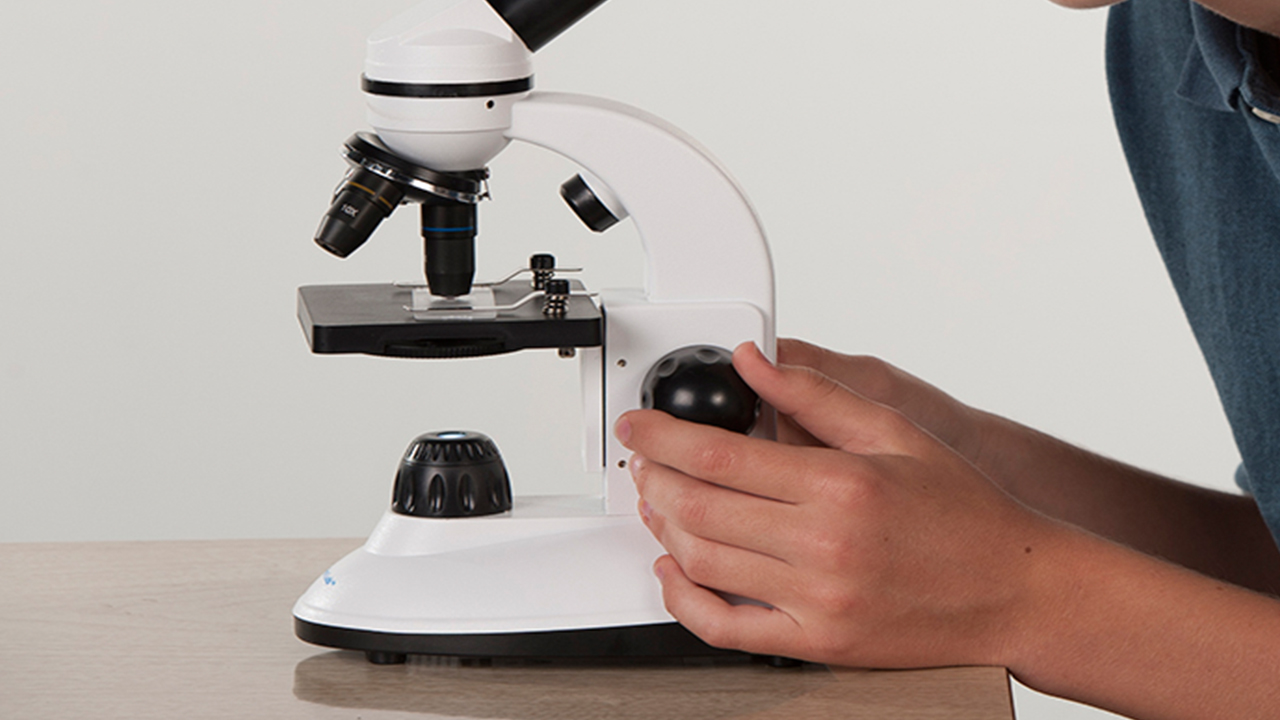 Top Best Microscopes For Students In The World Highly Rated