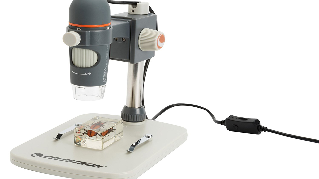 Best Microscopes For Students Ever